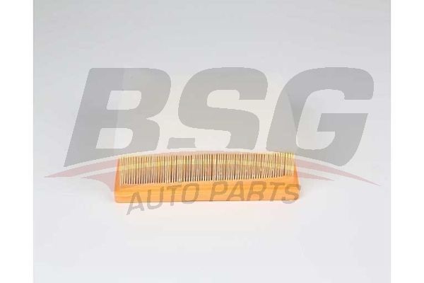 Фильтр воздушный BMW 1 (F20,F21),3 (F30,F31,F34) (11-) (1.4/2.0) BSG BSG15135017 BSG