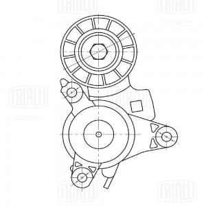 Ролик привод. ремня Peugeot 307 (00-) 1.8i/2.0i/2.2i [EW] (с натяж. мех.) (CM 53 CM 5350 TRIALLI