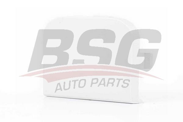 Заглушка FORD Focus (01-04) отверстия буксировочного бампера переднего BSG BSG30922055 BSG