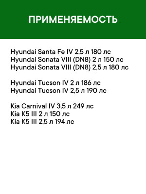 Фильтр воздушный HYUNDAI Santa Fe (21-),Sonata (19-) KIA Sorento (21-) (2.2/2.5) AF009 RAF FILTER