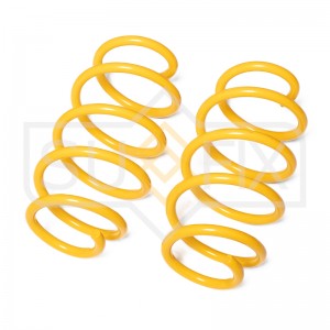Пружины подвески передние AUDI A3(8P1-8PA) 03-13, VW Passat(3C2-365) 05-14 SZ-10 SZ-1010 SUFIX