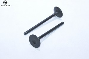 Клапан впускной CHEVROLET Nexia (1.6),Lacetti (1.4/1.6) (1шт.) SHINHAN 25192554 SHINHAN