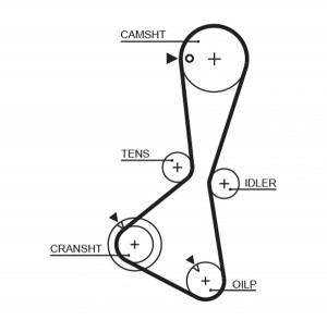 Ремень зубчатый 5374XS 124 x 29 (8597-15374) 5374XS GATES