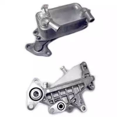 Радиатор масляный VW Passat (06-11) SKODA Octavia (08-15) MEAT&DORIA 95077 MEAT DORIA