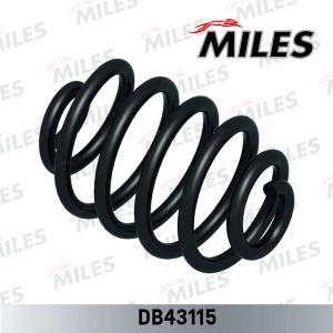 Пружина задней подвески RENAULT CLIO II H/D 98-05 (KYB RX6965) DB43115 DB43115 MILES