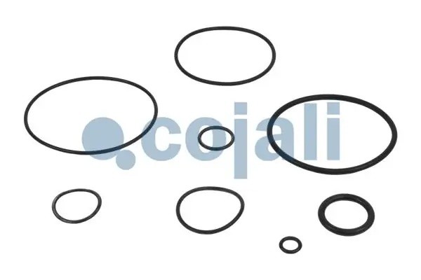 Ремкомплект MAN SCANIA VOLVO клапана ускорительного COJALI 6012033 COJALI