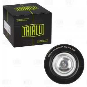 Ролик привод. ремня Hyundai Tucson (15-)/Creta (21-) 2.0i [NU] (опор.) (CM 5598) CM5598 TRIALLI