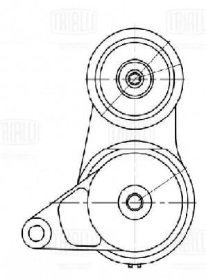 Ролик привод. ремня Hyundai Tucson (15-)/Creta (21-) 2.0i [NU] (с натяж. мех.) ( CM 5739N TRIALLI