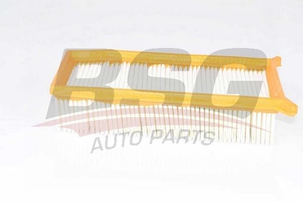 Фильтр воздушный RENAULT Duster (1.6) BSG BSG75135008 BSG
