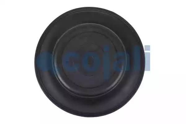 мембрана /27г/  6001120 6001120 COJALI