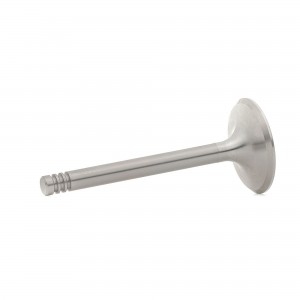 клапан впускной! 39.5x8x91.9\ Seat Toledo, VW Passat/T4 2.0/2.5 90> V033313 BG AUTOMOTIVE