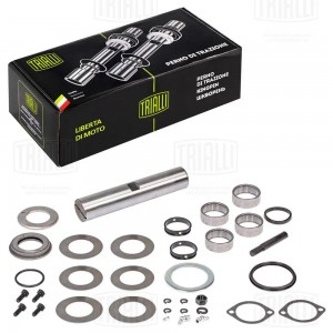 KAMAZ 5320 (кмпл. 1 шкворень c подшип.) SH 0721 TRIALLI