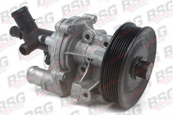 Насос водяной FORD Transit (00-06) BSG BSG30500019 BSG