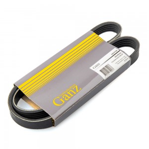 BMW/FIAT/LANCIA/RENAULT  90> 5PK900 GIE37126 GANZ