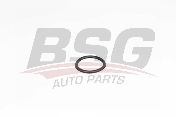 Прокладка RENAULT Kangoo,Megane,Clio (00-) термостата BSG BSG75116008 BSG