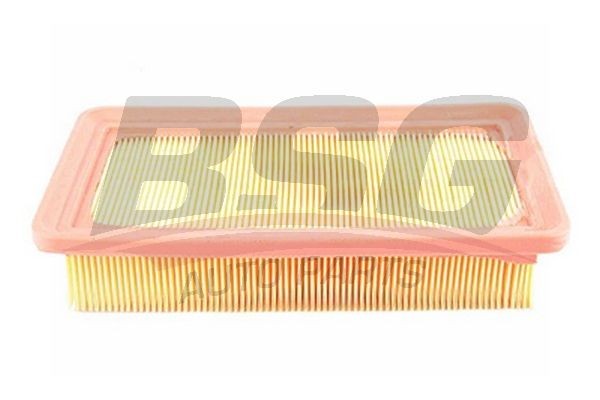 Фильтр воздушный HYUNDAI Accent (06-) KIA Rio (05-) BSG BSG40135013 BSG