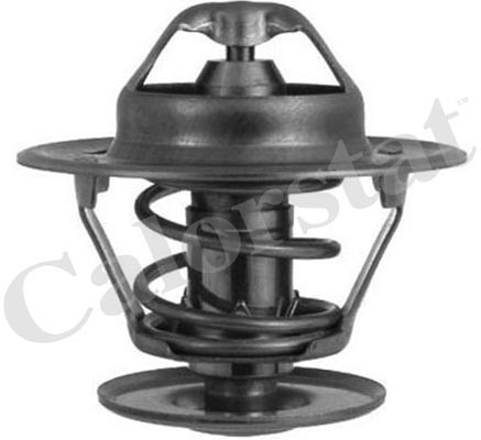 термостат!\ Ford Sierra/Granada 2.0-2.8i <93 TH1335.87J VERNET