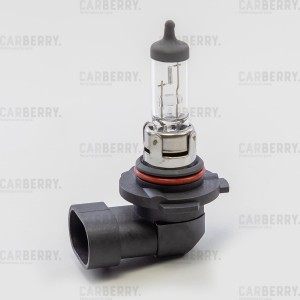 Лампа H10 12V (42W) Day&Night H10 12V (42W) PY20d 31CA4 31CA4 CARBERRY