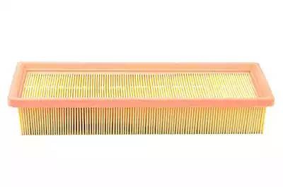 Фильтр воздушный PEUGEOT 207,Partner CITROEN Berlingo,C2,C3 BSG BSG70135006 BSG