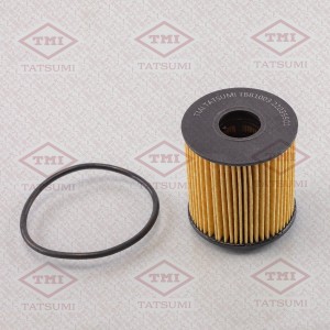 FORD / PEUGEOT/ CITROEN / MINI TBB1003 TATSUMI