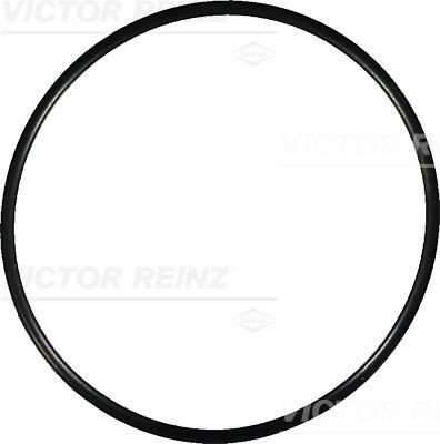 Кольцо уплотнительное 40-76766-20 407676620 VICTOR REINZ