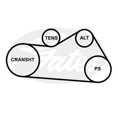 AUDI / SKODA / SEAT / VW/CITROEN/PEUGEOT 6PK0905 6-PK-905 GATES