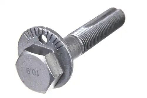 болт с эксцентриком! регулировочный Nissan Primera/Tsuru/X-Trail/Qashqai/Rogue 0 Z42805 ZENTPARTS