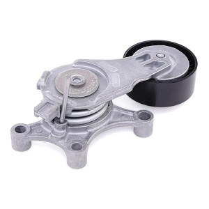 Натяжитель ремня FORD FOCUS II 1.6TDCi, CITROEN BERLINGO II 1.6HDi 534007520 534 0075 20 INA