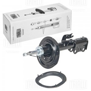 Амортизатор Geely Atlas (16-) 2.0i (стойка) перед. прав. (AG 30354) AG 30354 TRIALLI