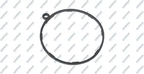 Кольцо уплотнительное КПП K1004164 KACMAZLAR