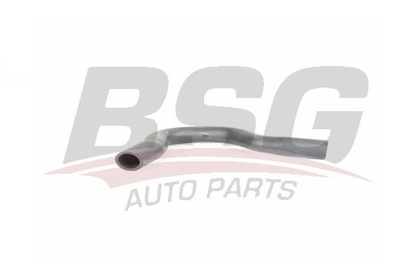 Шланг OPEL Corsa вентиляции картера BSG BSG65720169 BSG