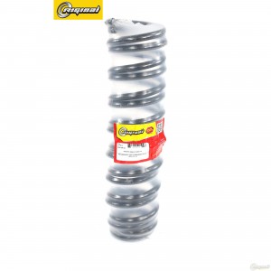 Пружина подвески задней  2шт RG4140A158 RIGINAL