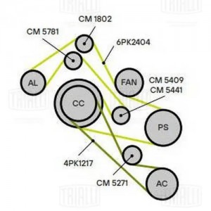 Ролик привод. ремня Audi A6 (97-) 2.5d (опор.) компресс. AC (CM 5271) CM 5271 TRIALLI