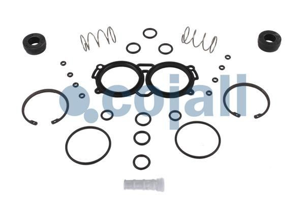 РМК модулятора EBS 6014113 COJALI