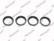 САЛЬНИКИ К-Т 4ШТ HRRF5C10508KIT HRRF5C10508KIT HERMANN