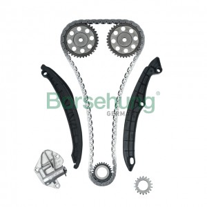 рем.к-кт цепи ГРМ!\ Skoda Fabia, VW Polo 1.2 07-14 B16296 BORSEHUNG