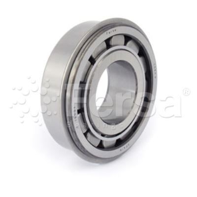 Ступица SK RB 9022,9019 (в сборе с подшипниками с 12 болтами) F300001 FERSA