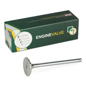 клапан выпускной! 33.6x7x107.8\ Renault Clio/Megane/Scenic/R19 1.2/1.4/1.6 89> V517646 BG AUTOMOTIVE