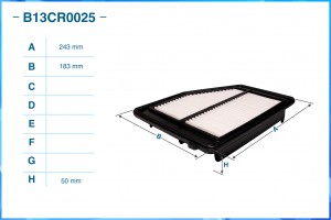 Фильтр воздушный B13CR0025 B13CR0025 CWORKS