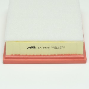 HAVAL H6 (2014-2020) LX5938 AM POINT