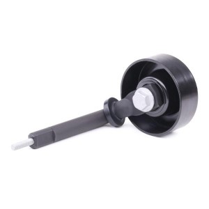 RANGE ROVER III (LM) (02>)/ BMW X5 E53 531078810 INA