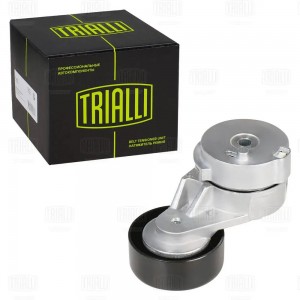 Ролик приводного ремня (с натяжным механизмом) подшипник NSK/NTN CM 0801N TRIALLI