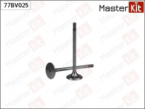 BMW 5-E39/ 7-E38/ 8-E31/ X5 E53 77BV025 MASTER KIT