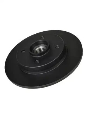 Диск тормозной задний Citroen C3/C4 all 06> Z06281 ZENTPARTS