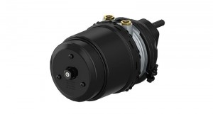 Энергоаккумулятор (дисковый тормоз) TYPE 20/24 IBV Voss 230/232 9254800050 WABCO