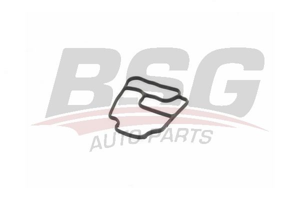 прокладка корпуса масляного фильтра!\ BMW E34/36/46/36/60/53/83/85 2.0-3.0i 90> BSG15116008 BSG