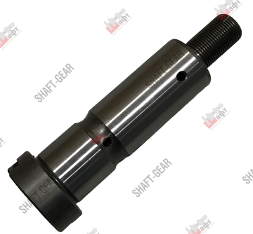 Вал заднего хода DS1001701083 SHAFT
