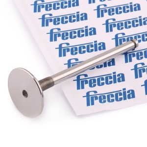 клапан впускной! 35.3x7x110.9\ Renault Laguna/Megane/Kangoo 1.9TDi 95> R4973/S FRECCIA