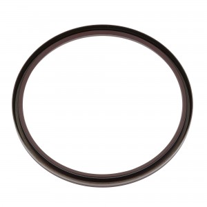 Сальник ступицы задней 180x200x12  B1BADRW AX.-1824487 6X2/4 FPM WD 12014190B CORTECO