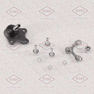 VW / SKODA TEA1709R TATSUMI